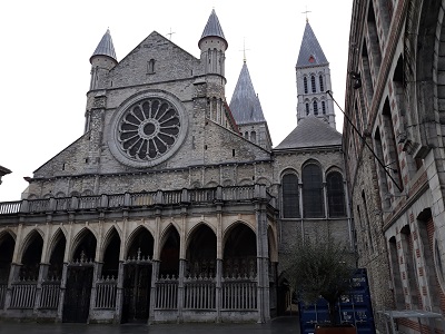 Cathedralebis
