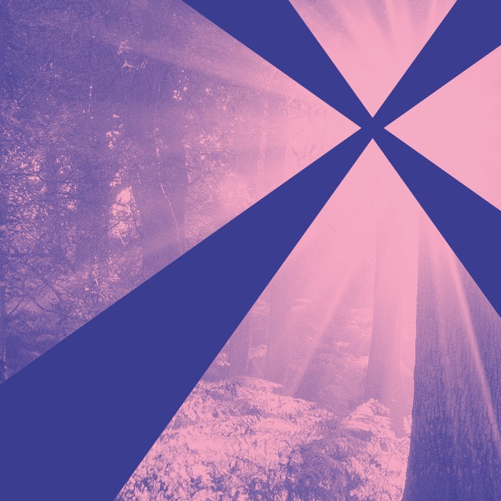 50 méditations pour le Temps Pascal : Resurrexit !