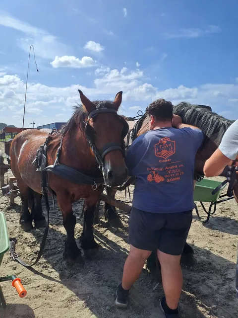 Jeunes à la ferme_août 26 (16)