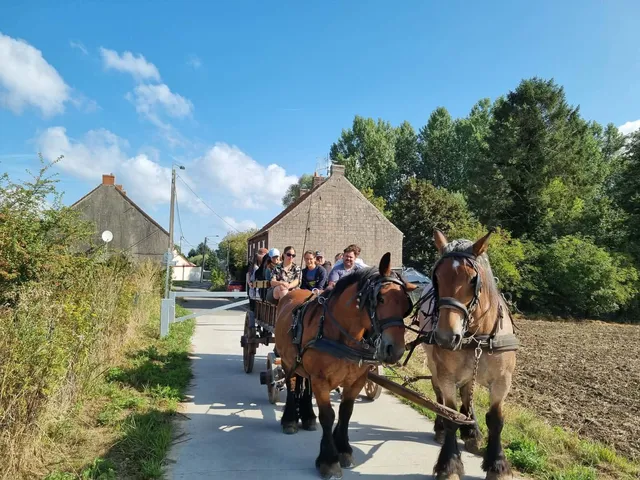 Jeunes à la ferme_août 26 (9)